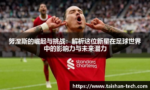 努涅斯的崛起与挑战：解析这位新星在足球世界中的影响力与未来潜力